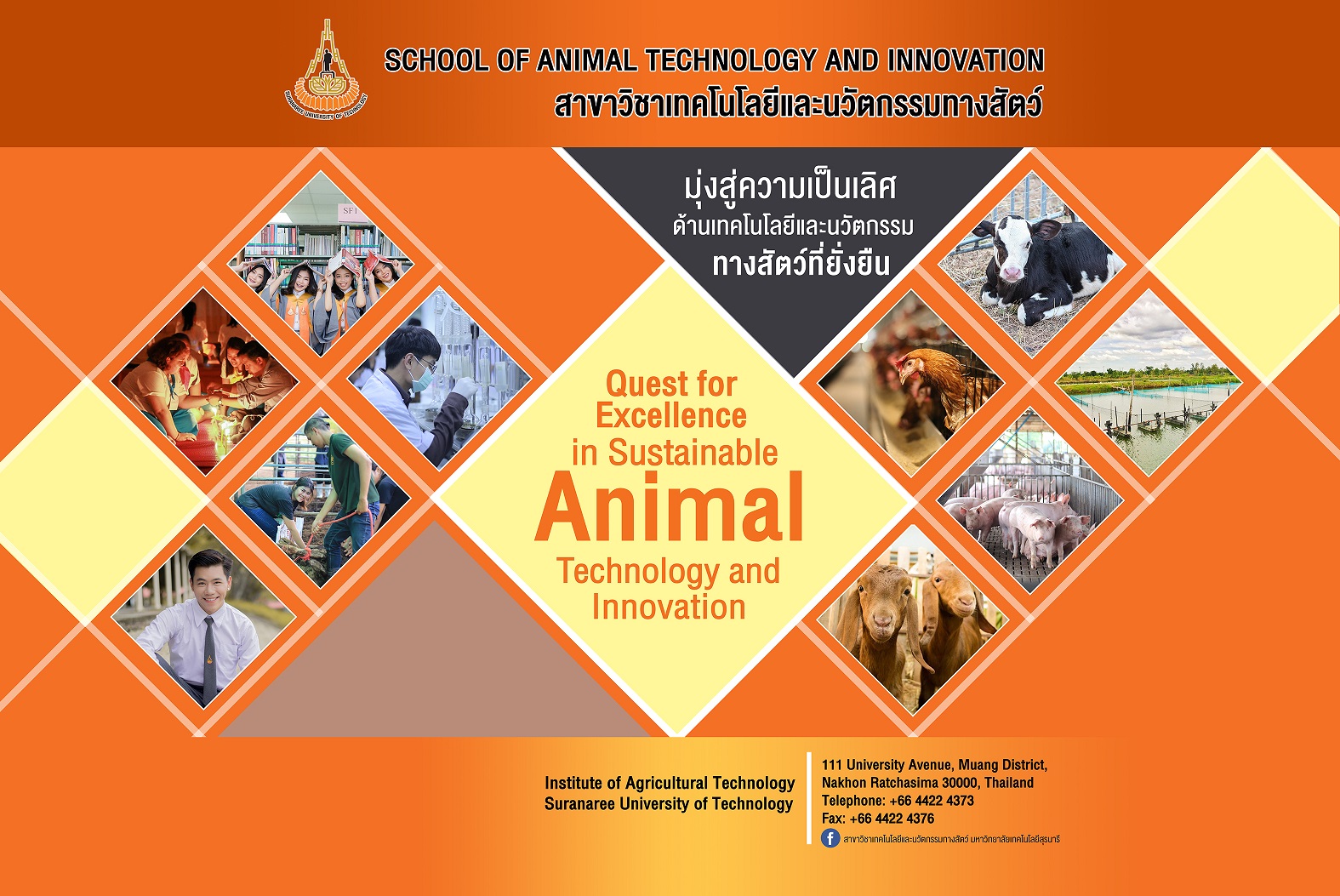 สาขาวิชาเทคโนโลยีและนวัตกรรมทางสัตว์ - School of Animal Technology and  Innovation